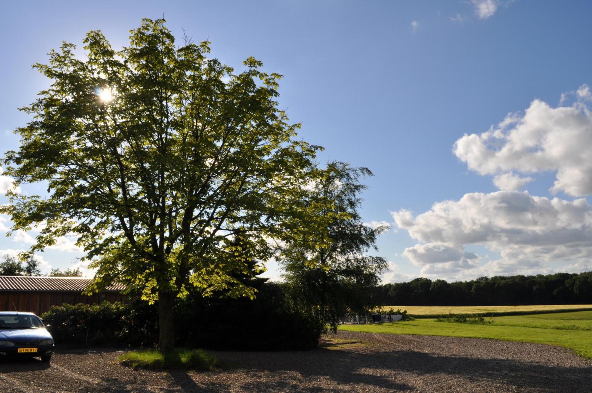 Rødding Koebenhovedskov Bed & Breakfast מראה חיצוני תמונה