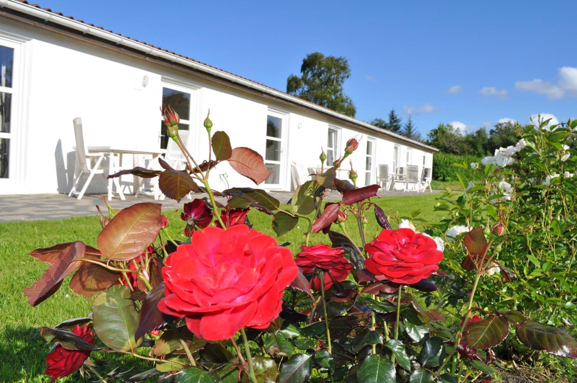 Rødding Koebenhovedskov Bed & Breakfast מראה חיצוני תמונה